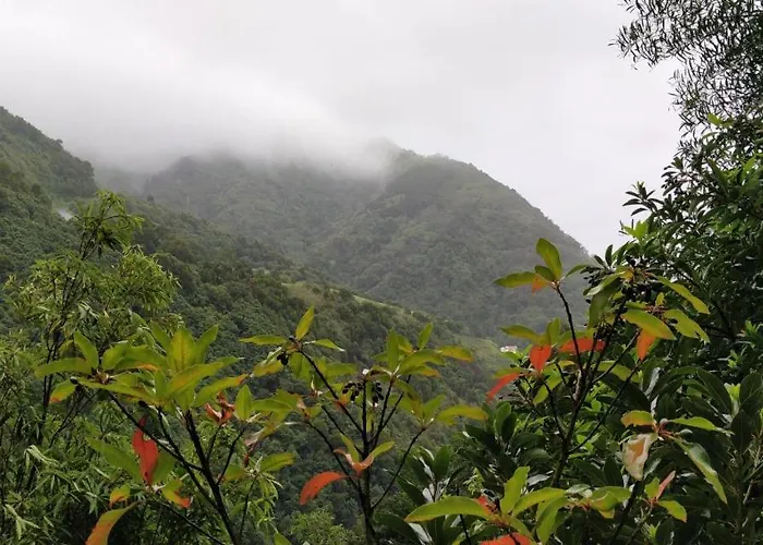 Ferienpark Aldeia Do Sanguinho *
